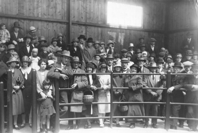 Inside the Parade Ring