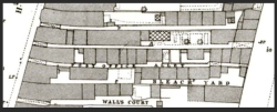 OPO Alley 1885