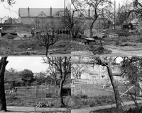 Photos from 1964